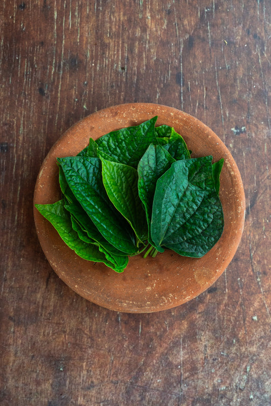 Wild Betel Leaf