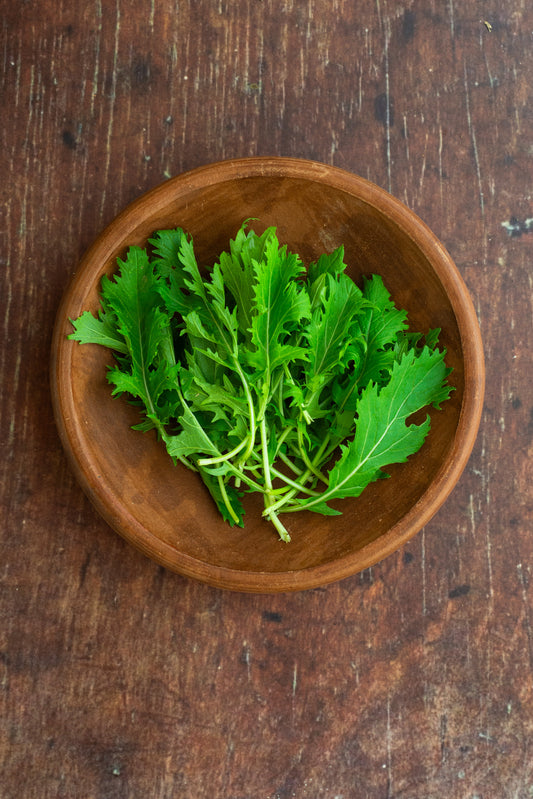 Mizuna - Leaf Mustard Green