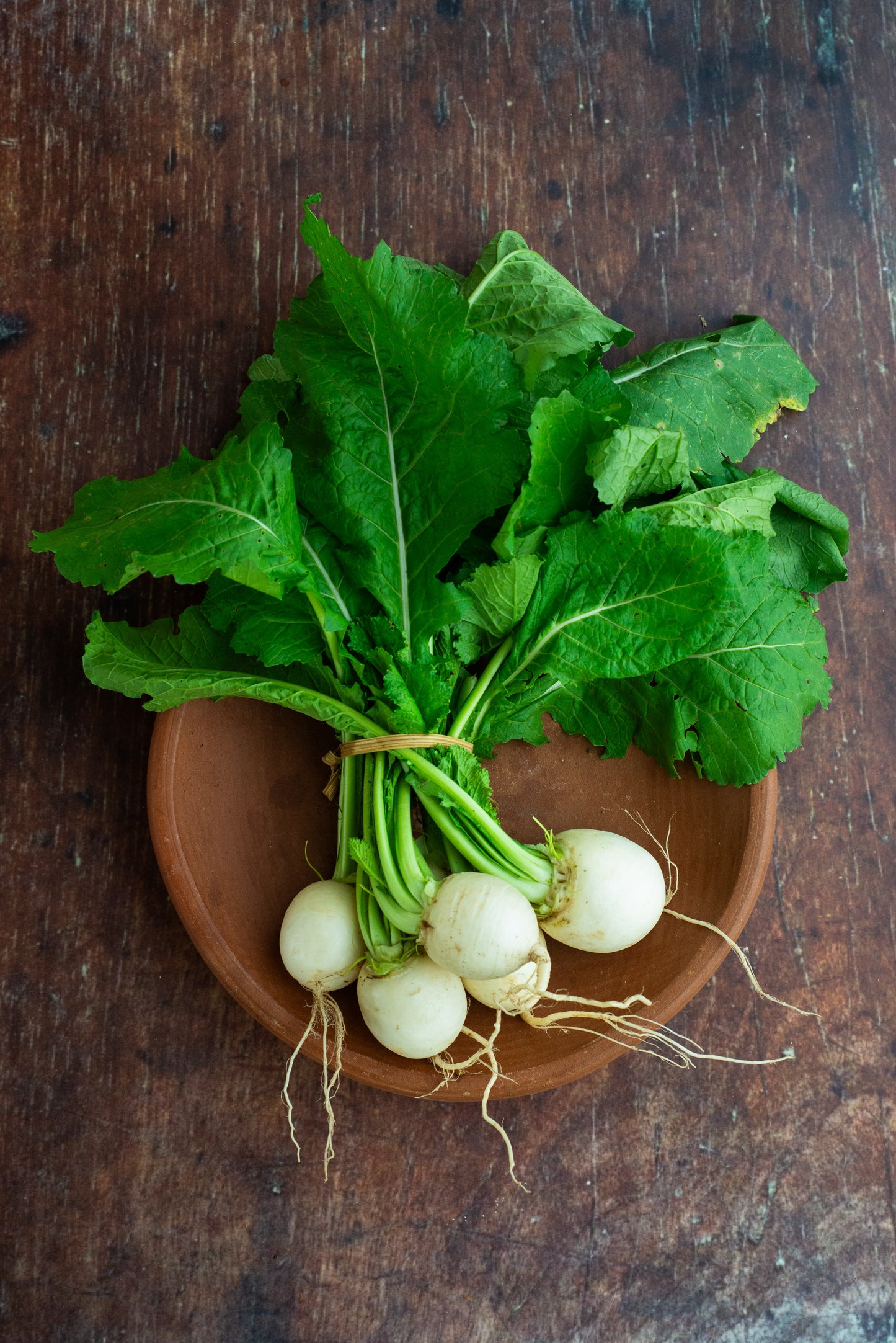 Turnip - White Kabura