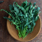 Broccoli - Spigariello Leaf
