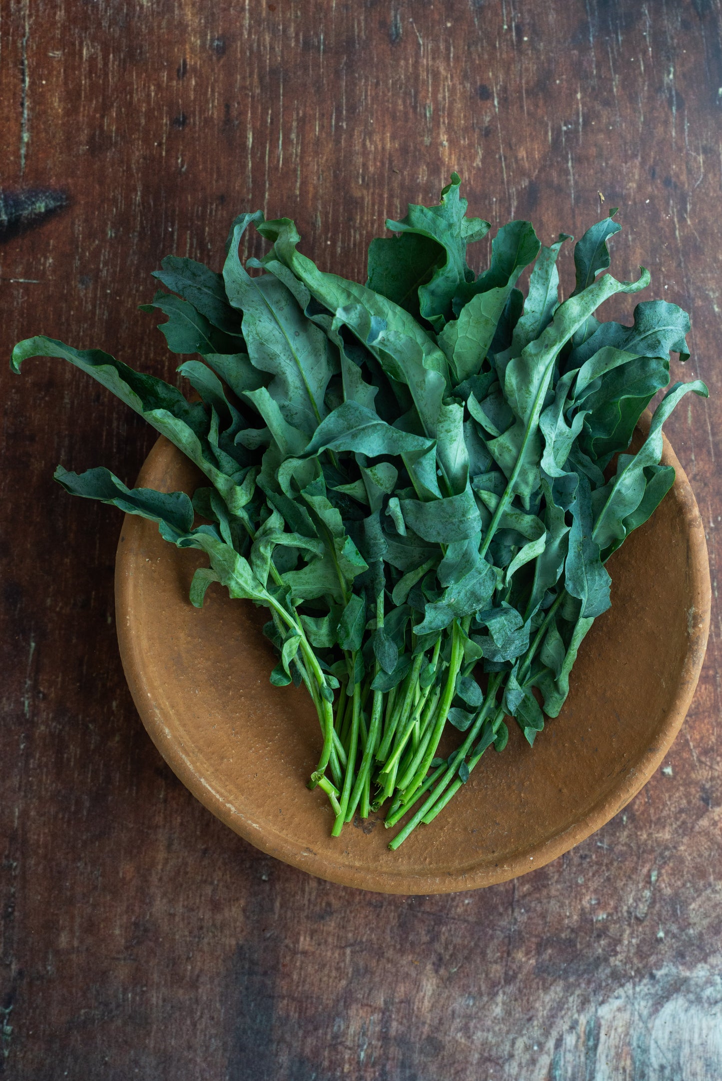 Broccoli - Spigariello Leaf