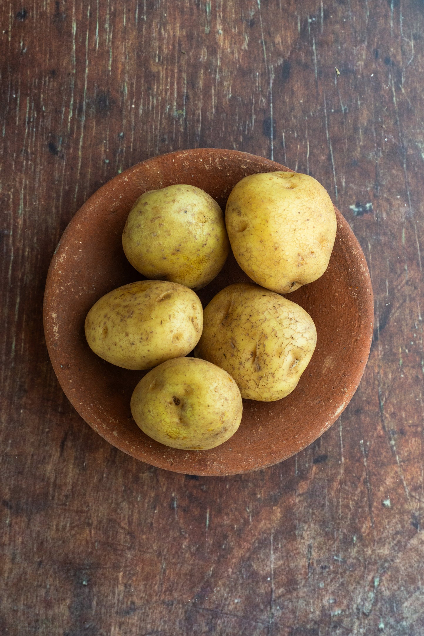 Potato - Matured