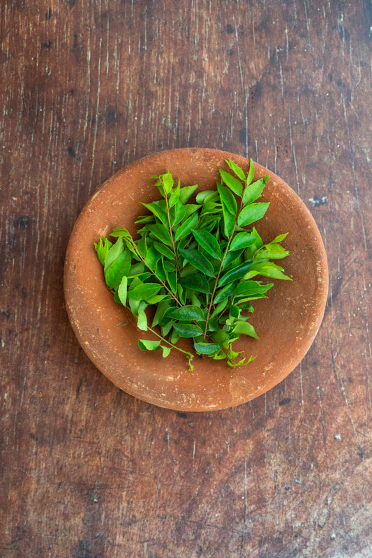 Curry Leaf