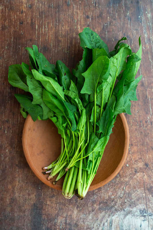 Spinach - English Bunch