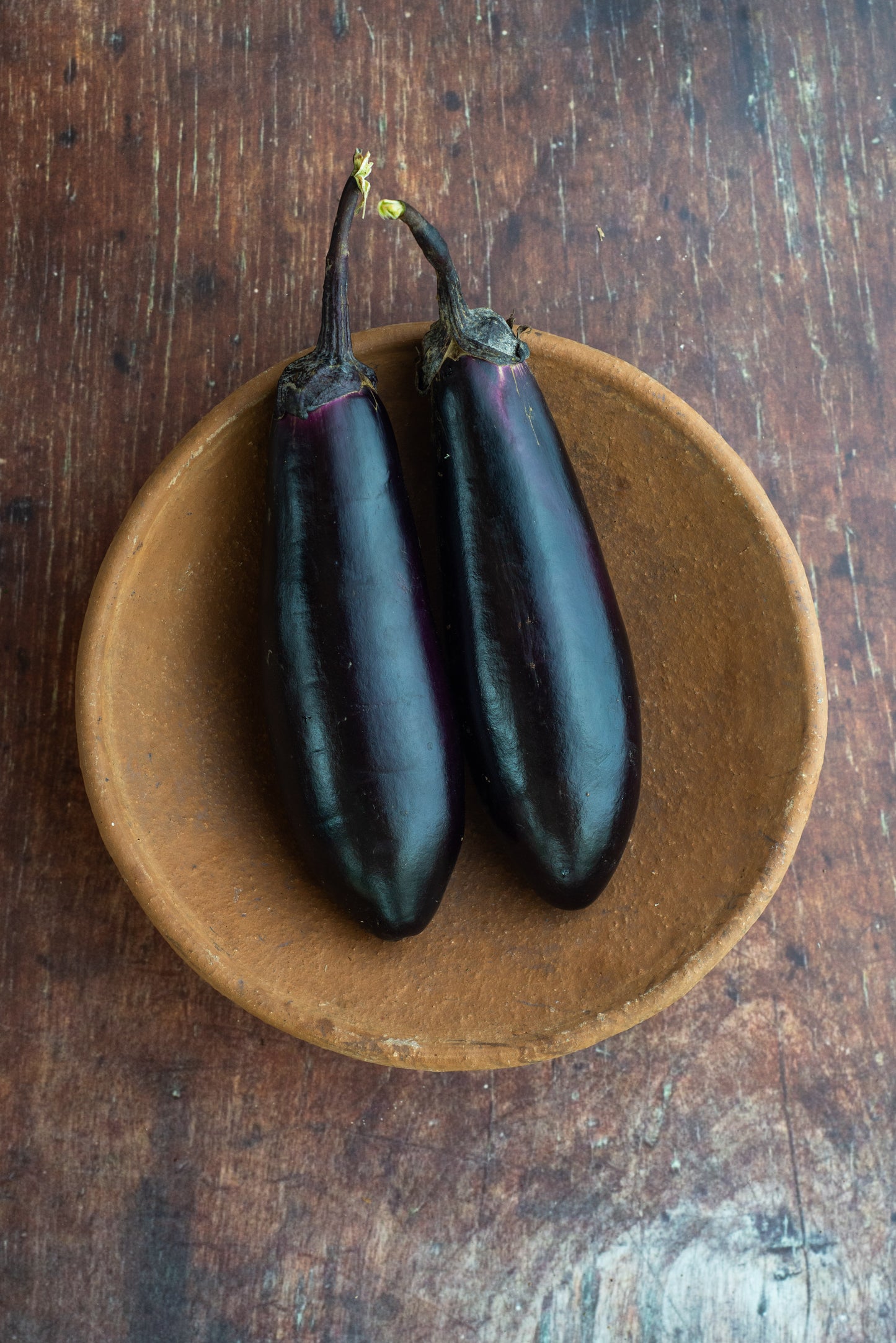Eggplant - Italian