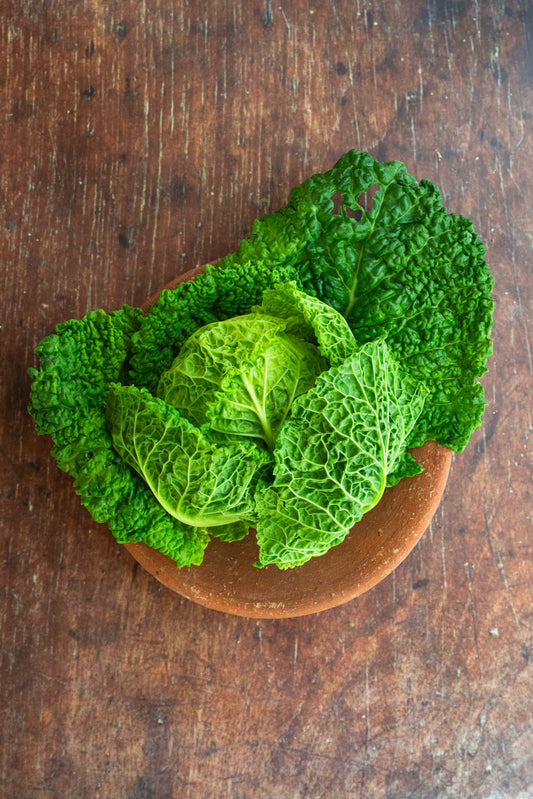 Cabbage - Savoy