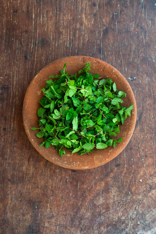 Mint - Spearmint - Double Mint