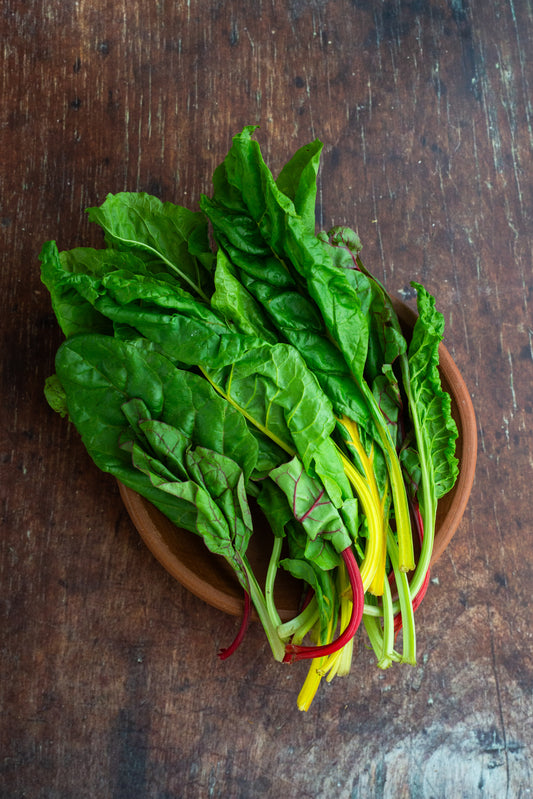 Swisschard - Rainbow