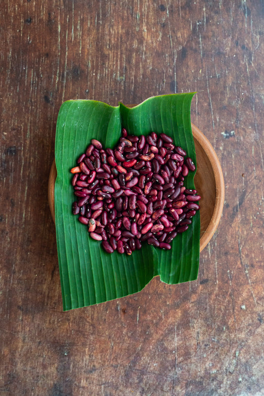 Shelling Beans - Red Kidney