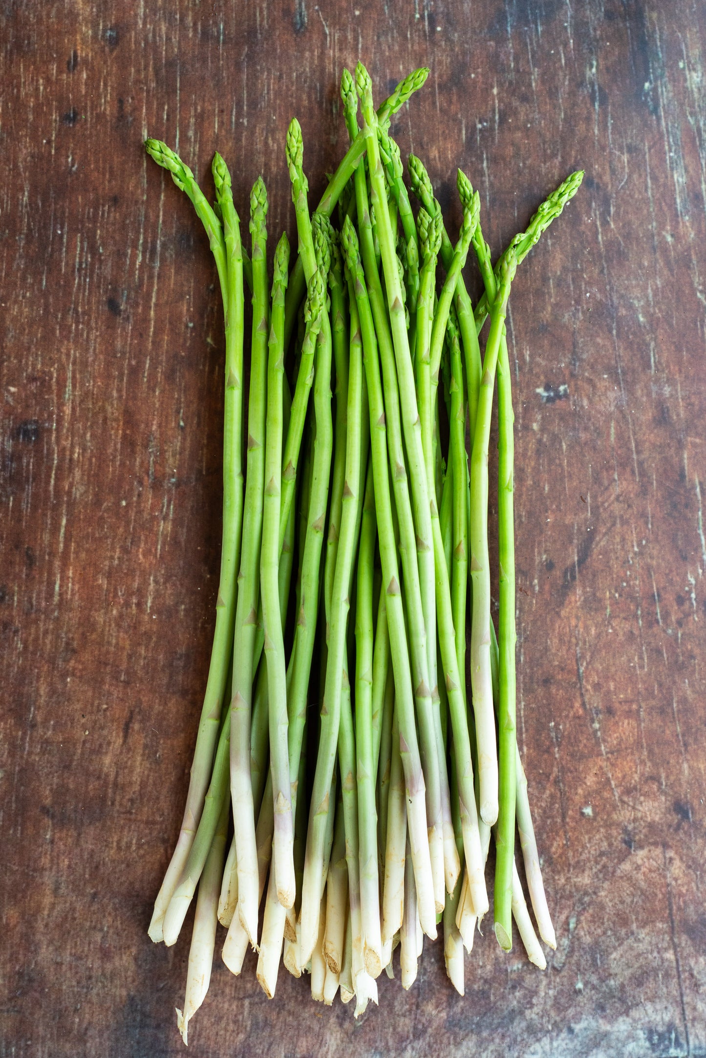 Asparagus