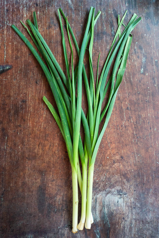 Onion Leaf - Leek