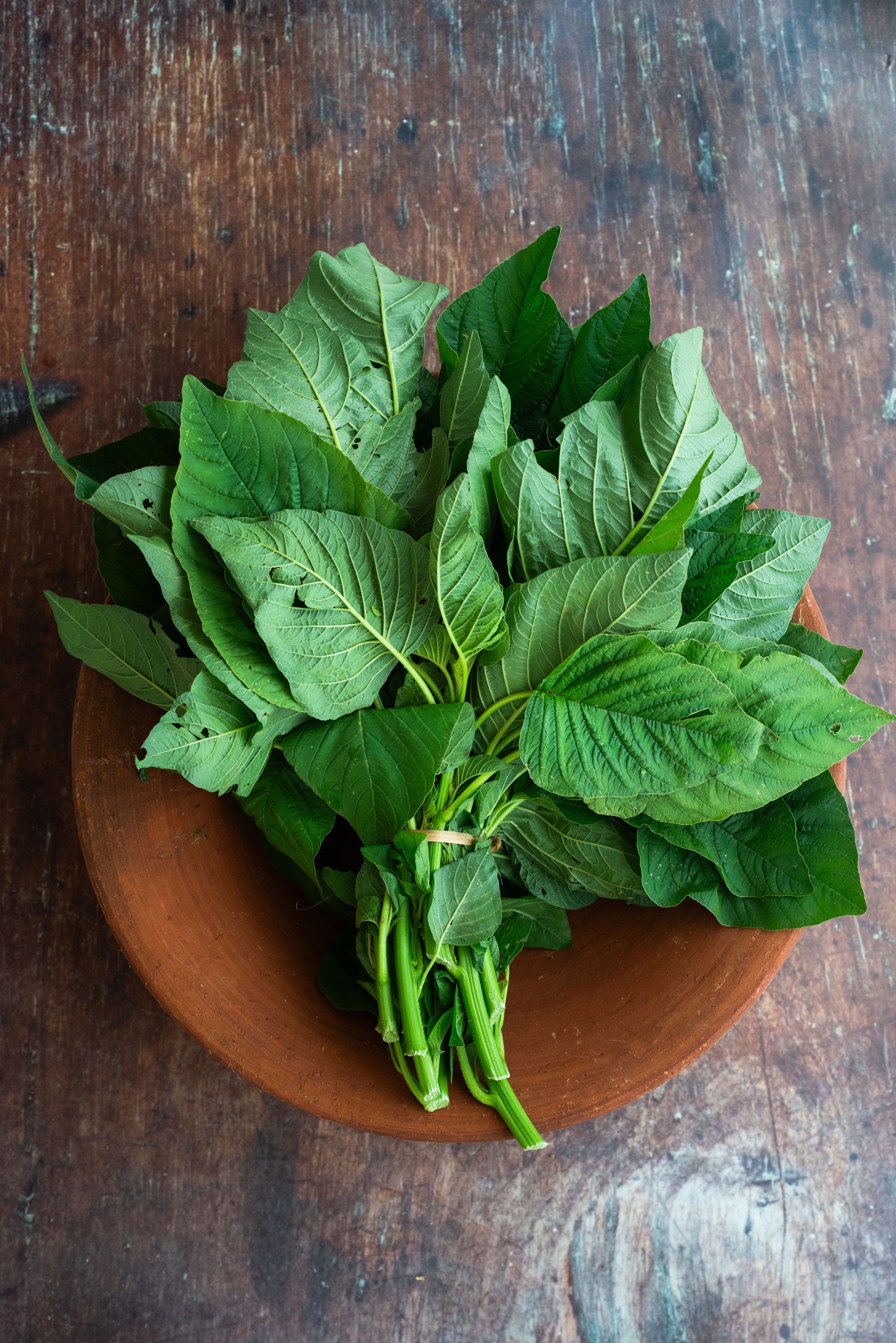 Spinach - Green Amaranth - Bayam Hijau