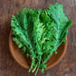 Kale - Red Russian