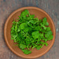 Arugula - Roquette Standard