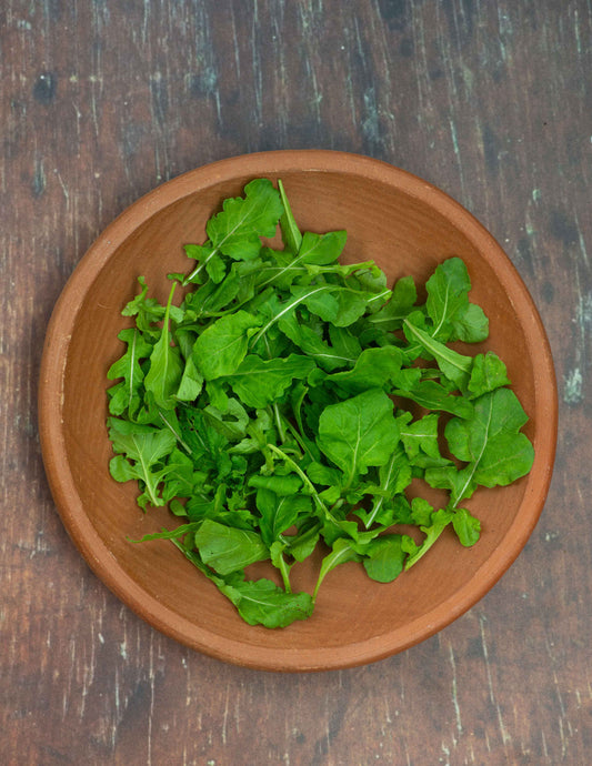 Arugula - Roquette Standard