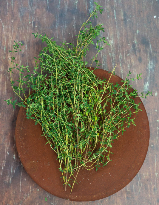 Thyme - Summer