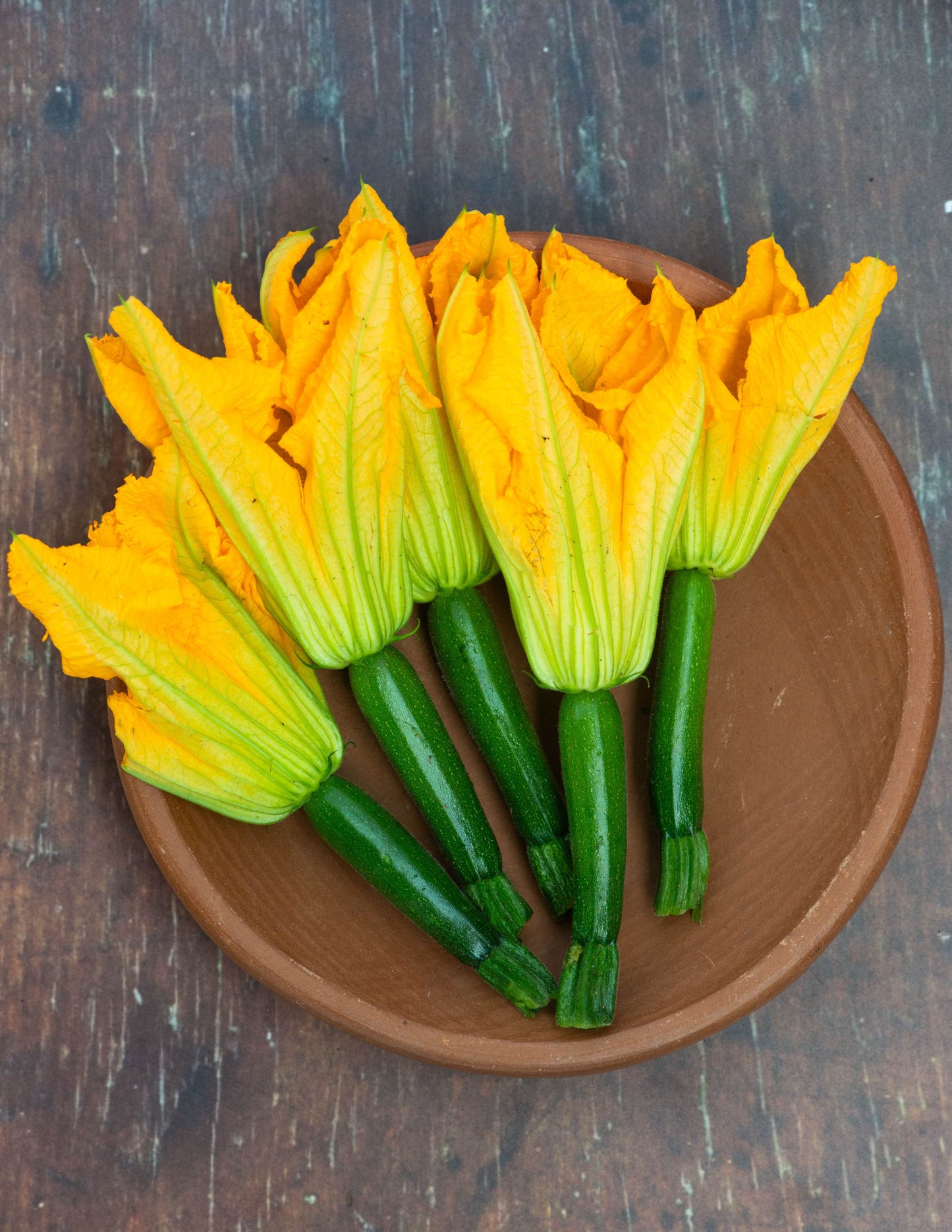 Zucchini , Baby with Flower