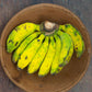 Plantain, Latundan Banana (Pisang Raja) - 1 Fan