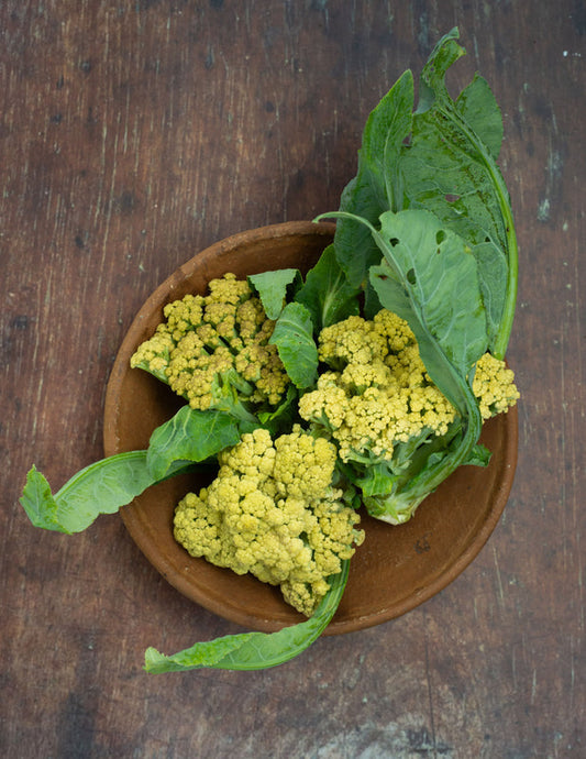 Cauliflower, Sprouting - Caulilini