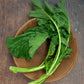 Broccoli Raab / Rapini/ Rabe