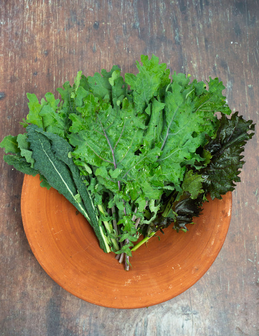 Kale - Mix - Juicing