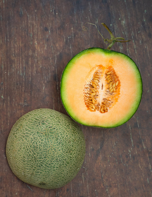 Melon - Cantaloupe