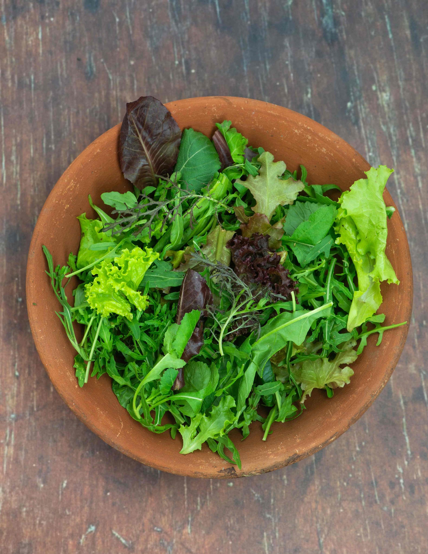 Salad, SPICY