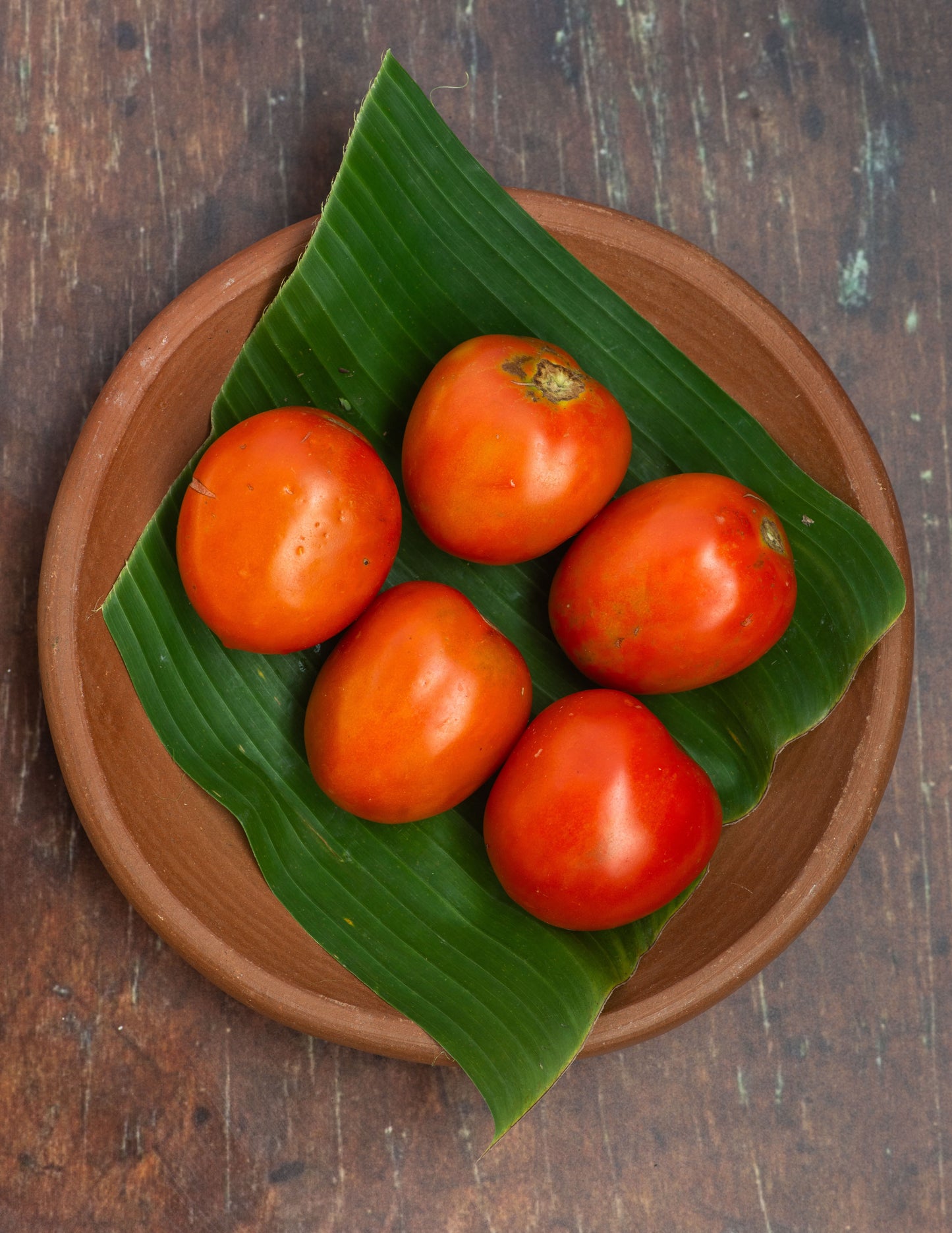 Tomato