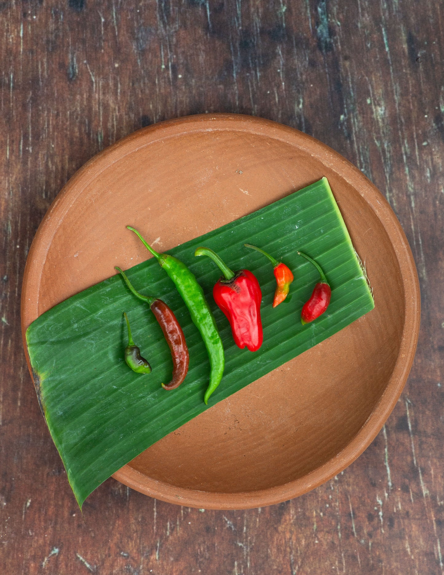 Chili, Mix of Peppers