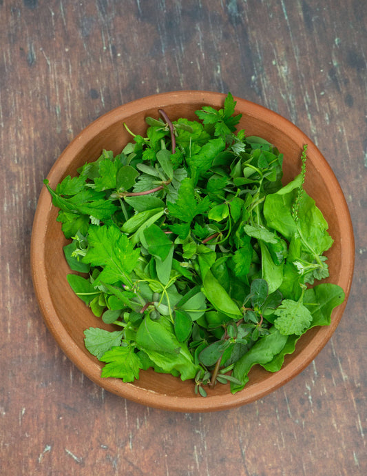 Salad, WILD