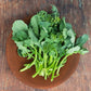 Broccolini