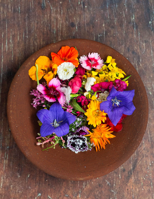 Edible Flower Mix