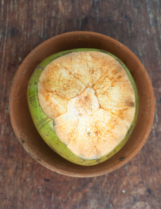 Coconut, Young