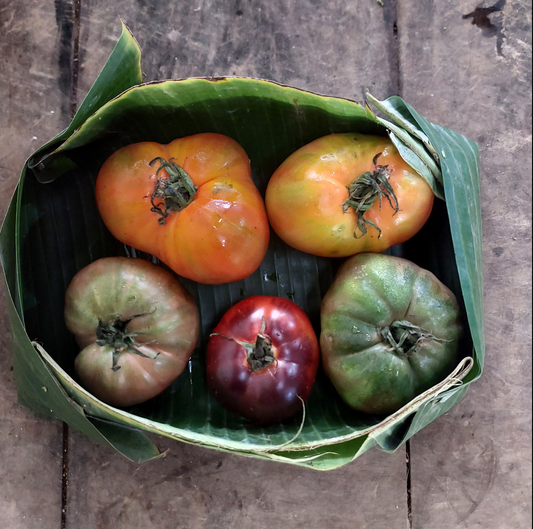 Tomato - Heirloom Beef Mix - 16% off!