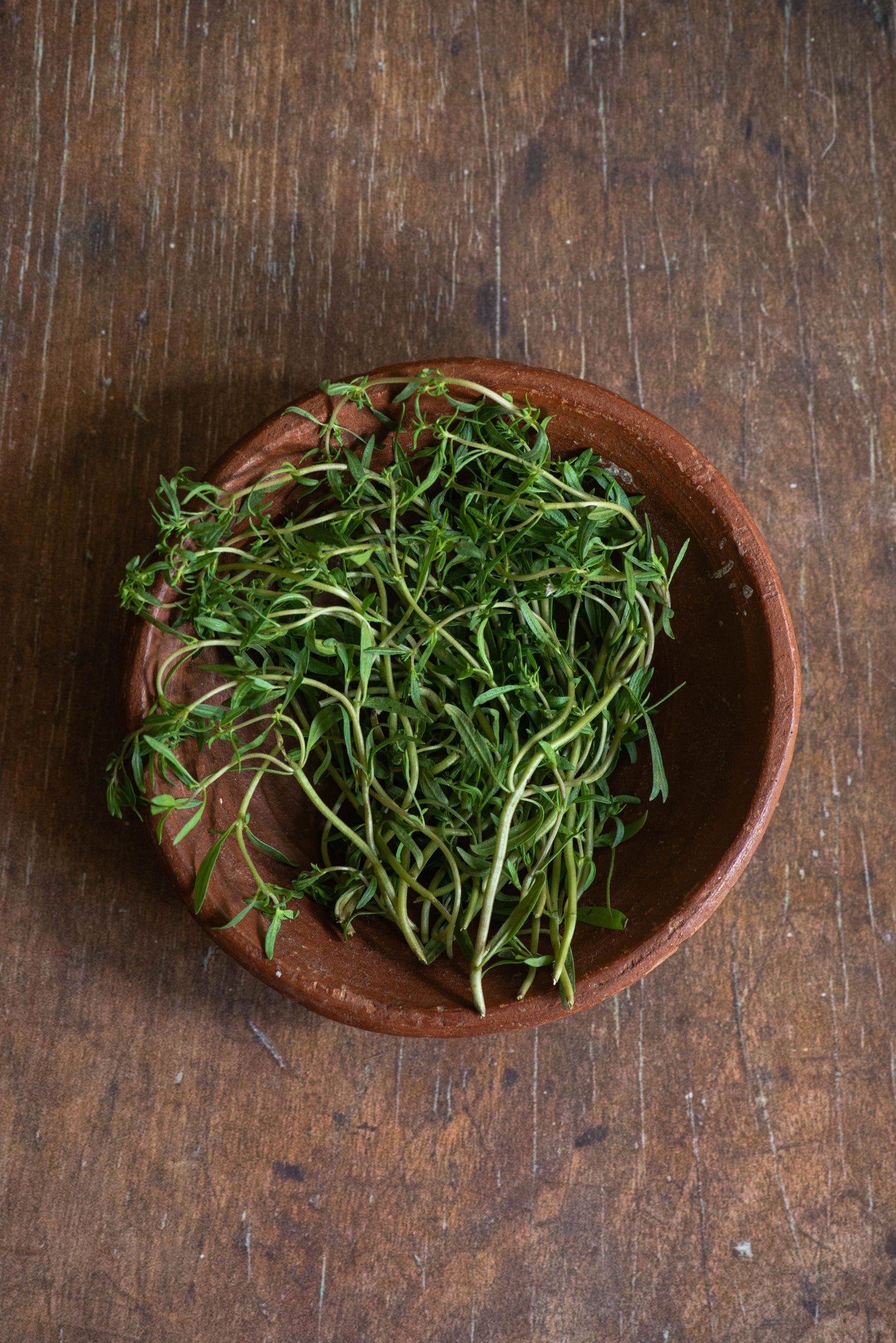 Summer Savory