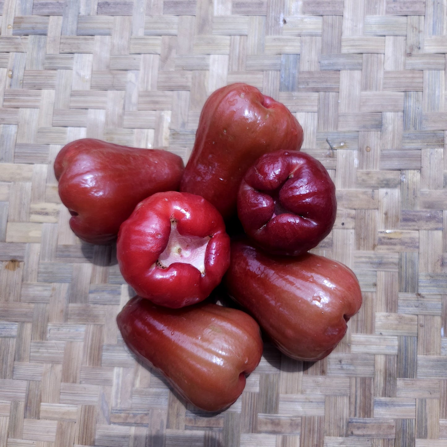 Water Apple, Rose Apple - Jambu Air
