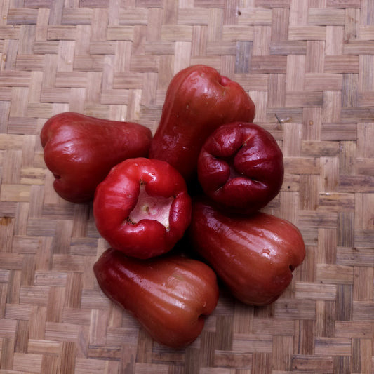 Water Apple, Rose Apple - Jambu Air