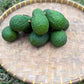 Avocado - Hass