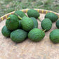 Avocado - Hass