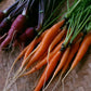 Carrot - Heirloom Specialities