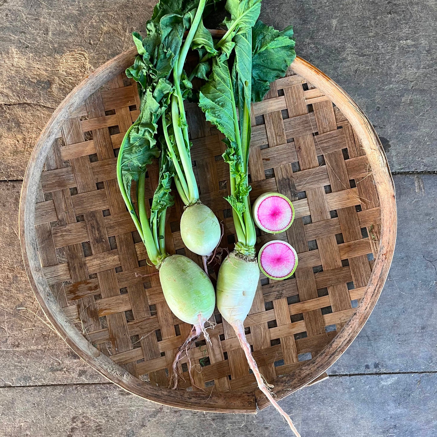 Radish - Watermelon