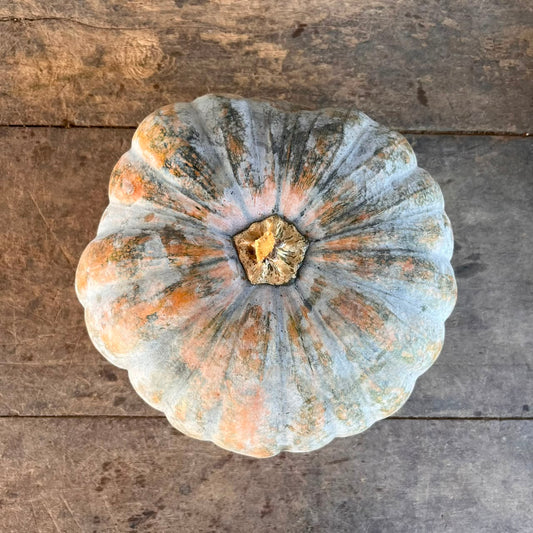 Squash - Winter - Pumpkin Kabocha