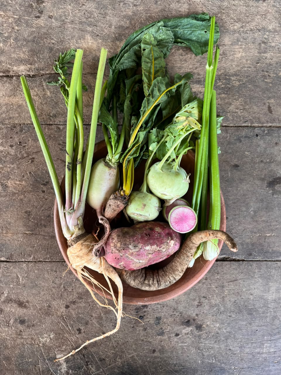 Bed Clear Out - Harvest Basket