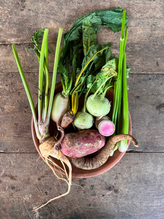 Bed Clear Out - Harvest Basket
