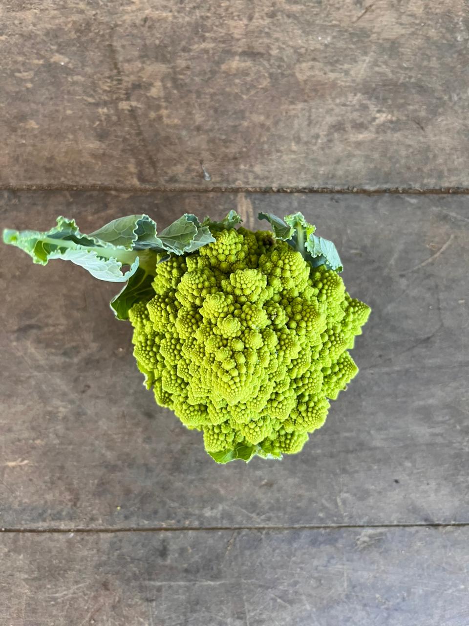 Cauliflower - Romanesco Puntoverde
