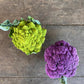 Specialty Cruciferous