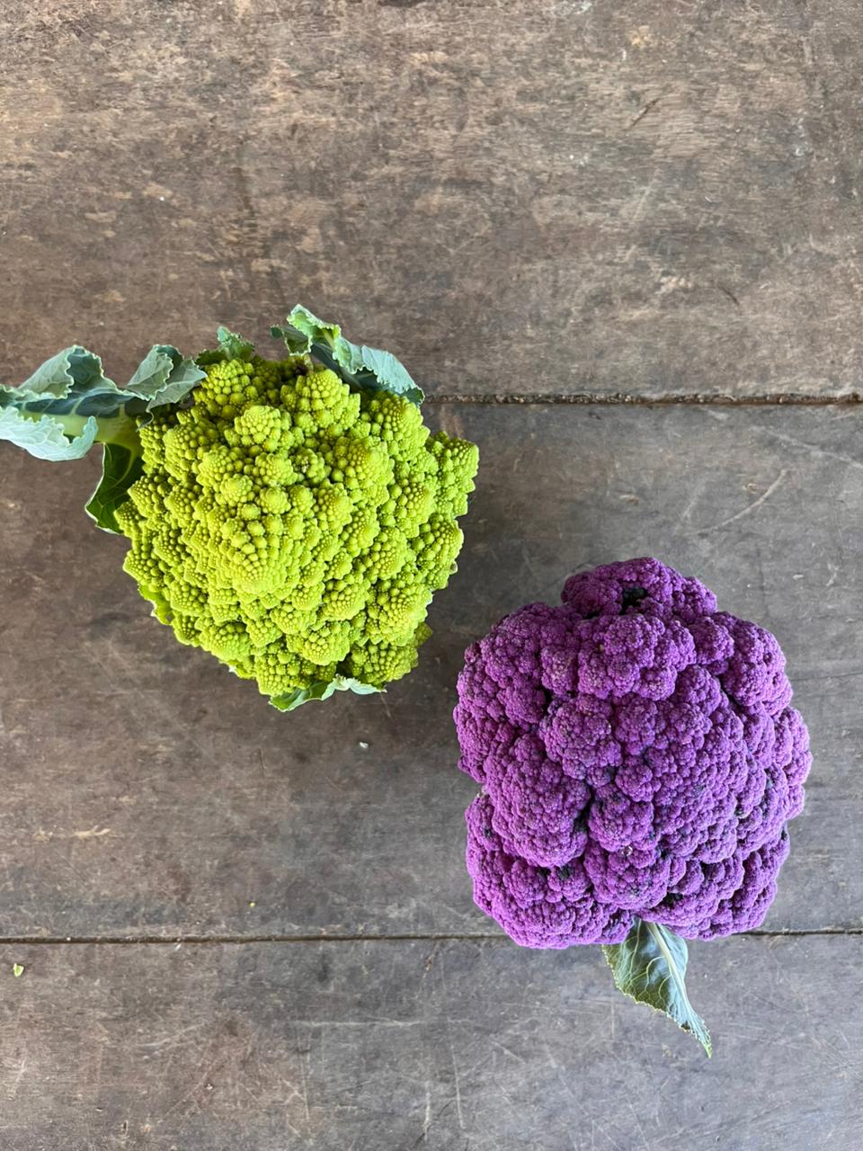 Specialty Cruciferous