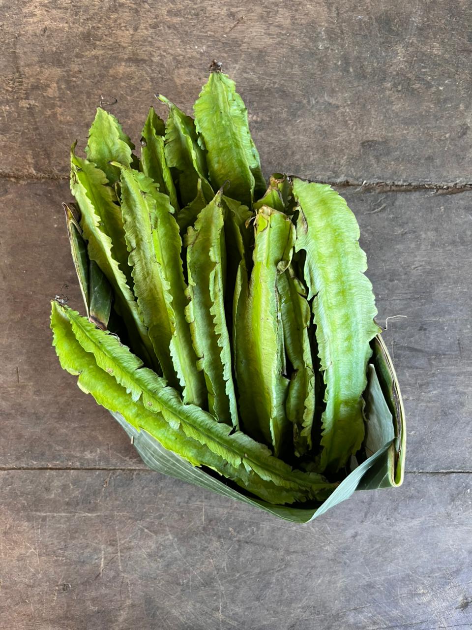 Beans - Winged