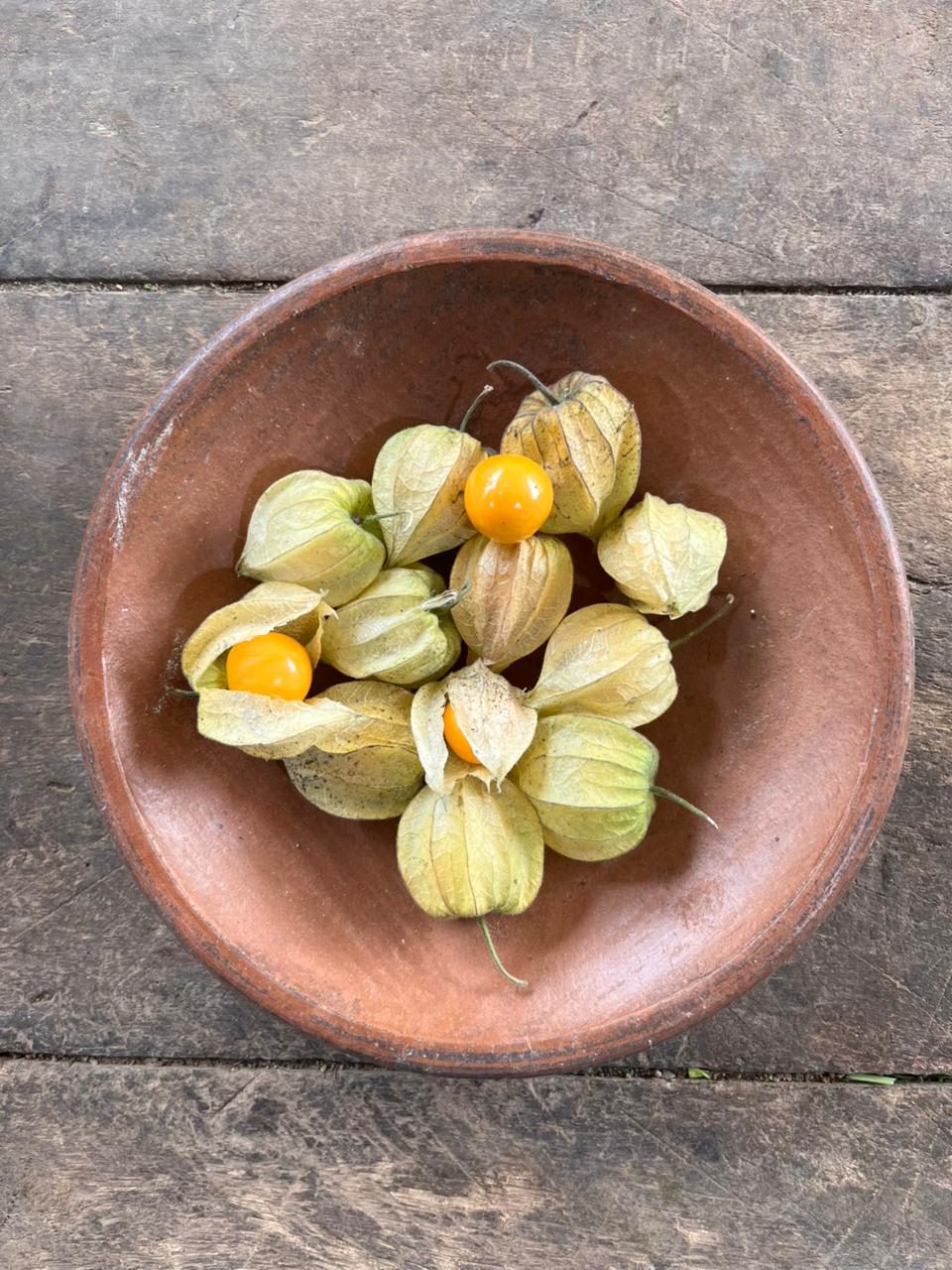 Golden Berry - Ground Cherry - Peruvian