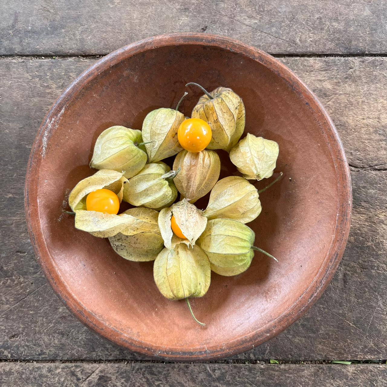 Golden Berry - Ground Cherry - Peruvian